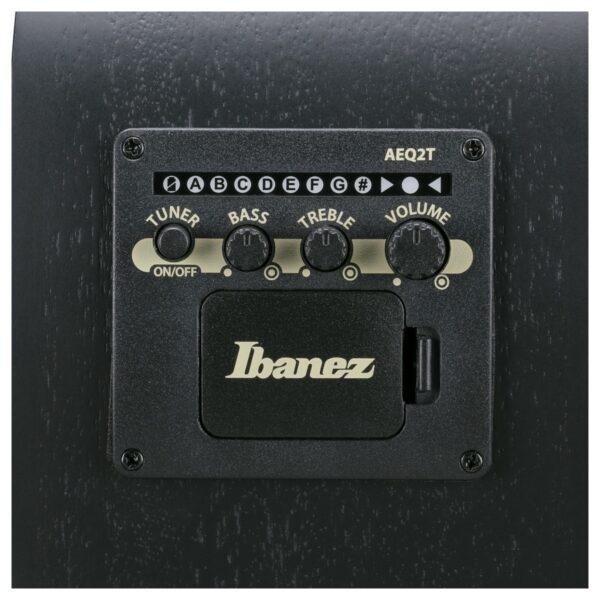 Ibanez AEGB420-BOT 4-String Acoustic Bass Black Out