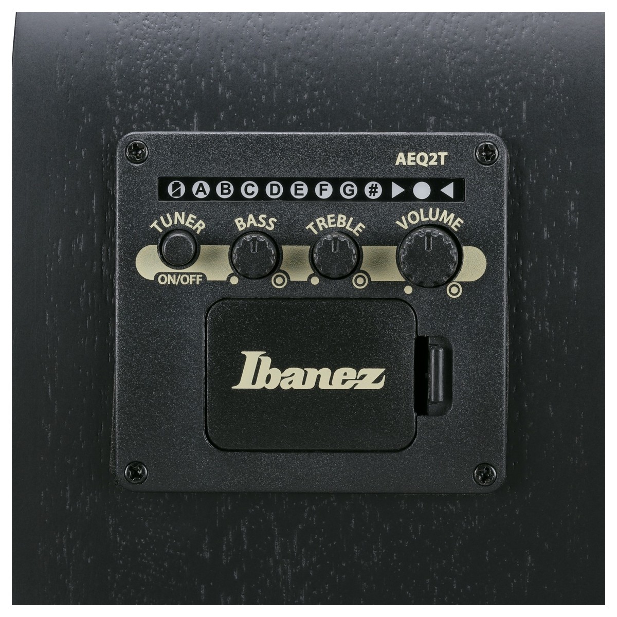 Ibanez AEGB420-BOT 4-String Acoustic Bass Black Out