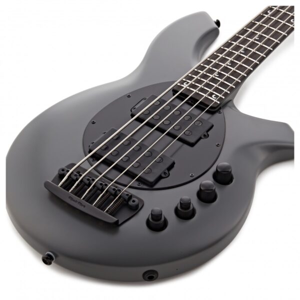 Music Man Bongo HH 5 String Titan Gray