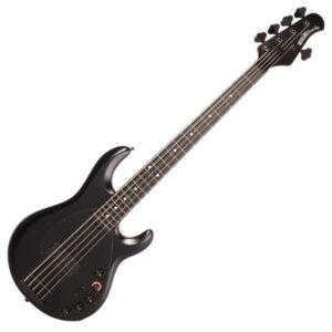 Music Man DarkRay 5 String Stealth Black