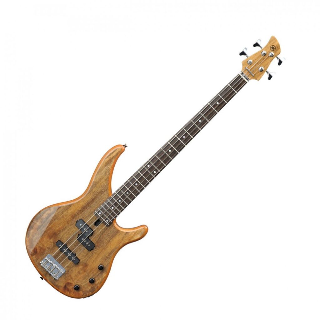 Yamaha TRBX174EW Mango Wood Bass Natural & Eden Orbiter 8 Combo Amp