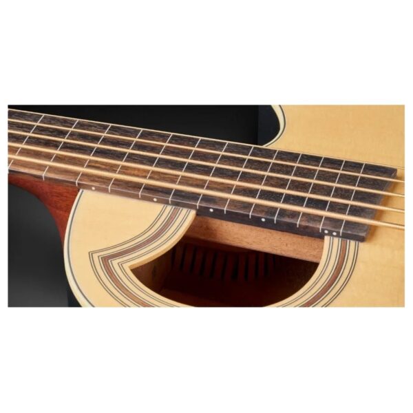 Warwick RockBass Alien Standard 5 String Fretless Acoustic Bass Natural