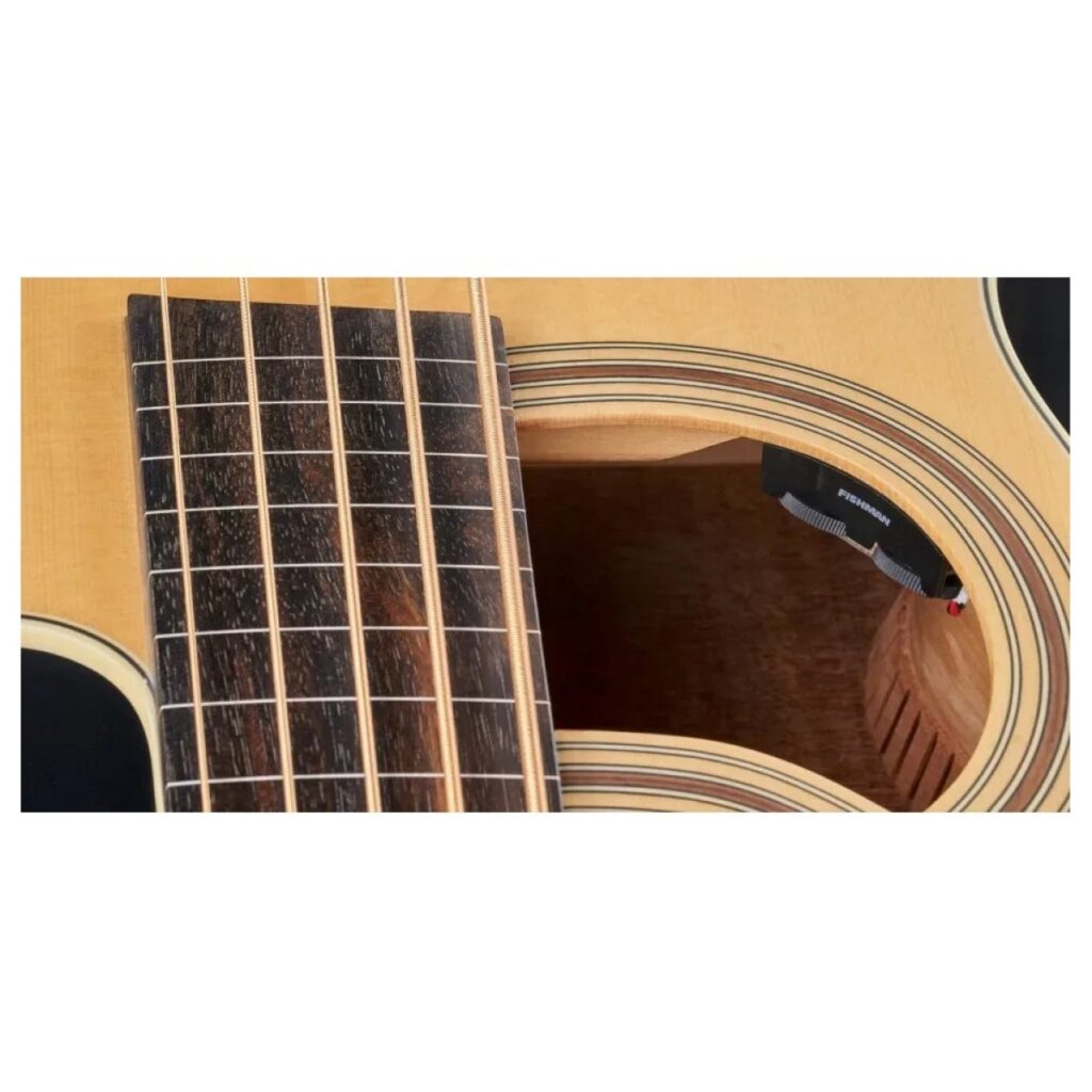 Warwick RockBass Alien Standard 5 String Fretless Acoustic Bass Natural