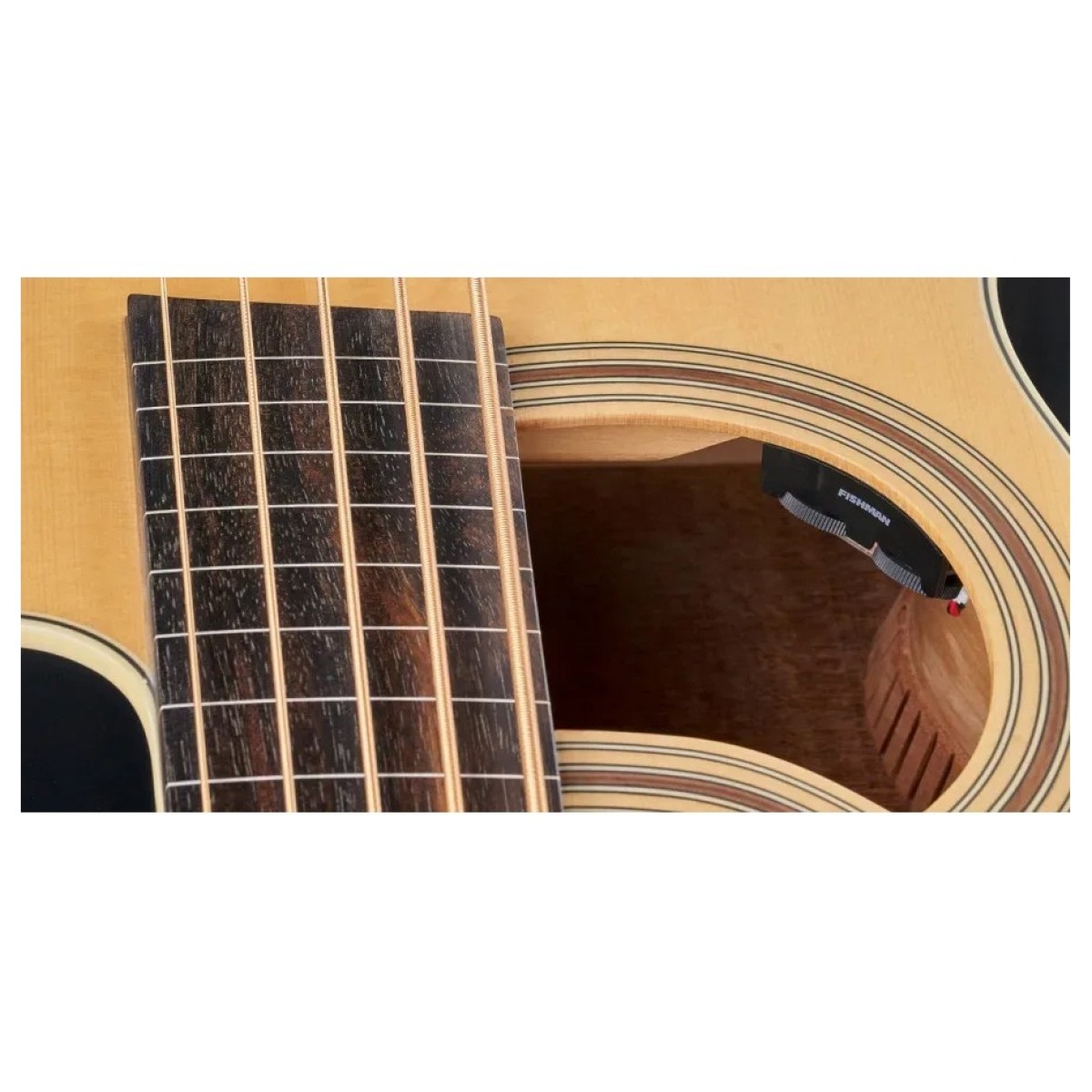 Warwick RockBass Alien Standard 5 String Fretless Acoustic Bass Natural