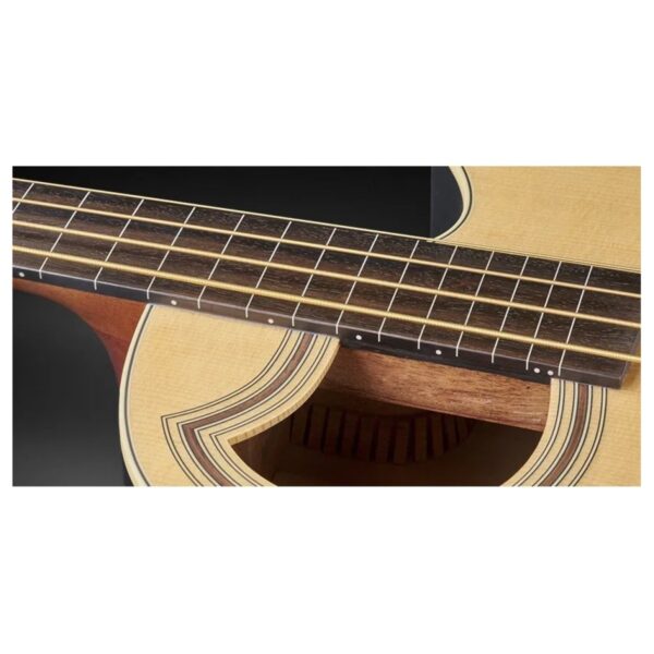 Warwick RockBass Alien Standard Fretless Acoustic Bass Natural