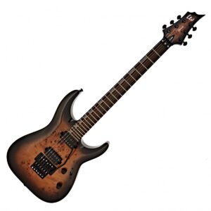 ESP LTD H-1001FR Black Natural Burst