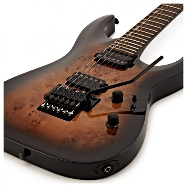 ESP LTD H-1001FR Black Natural Burst
