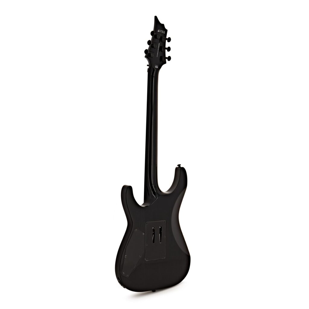 ESP LTD H-1001FR Black Natural Burst