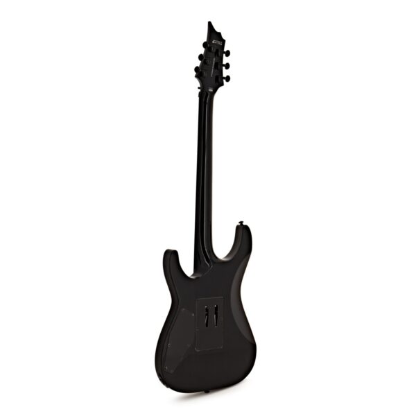 ESP LTD H-1001FR Black Natural Burst