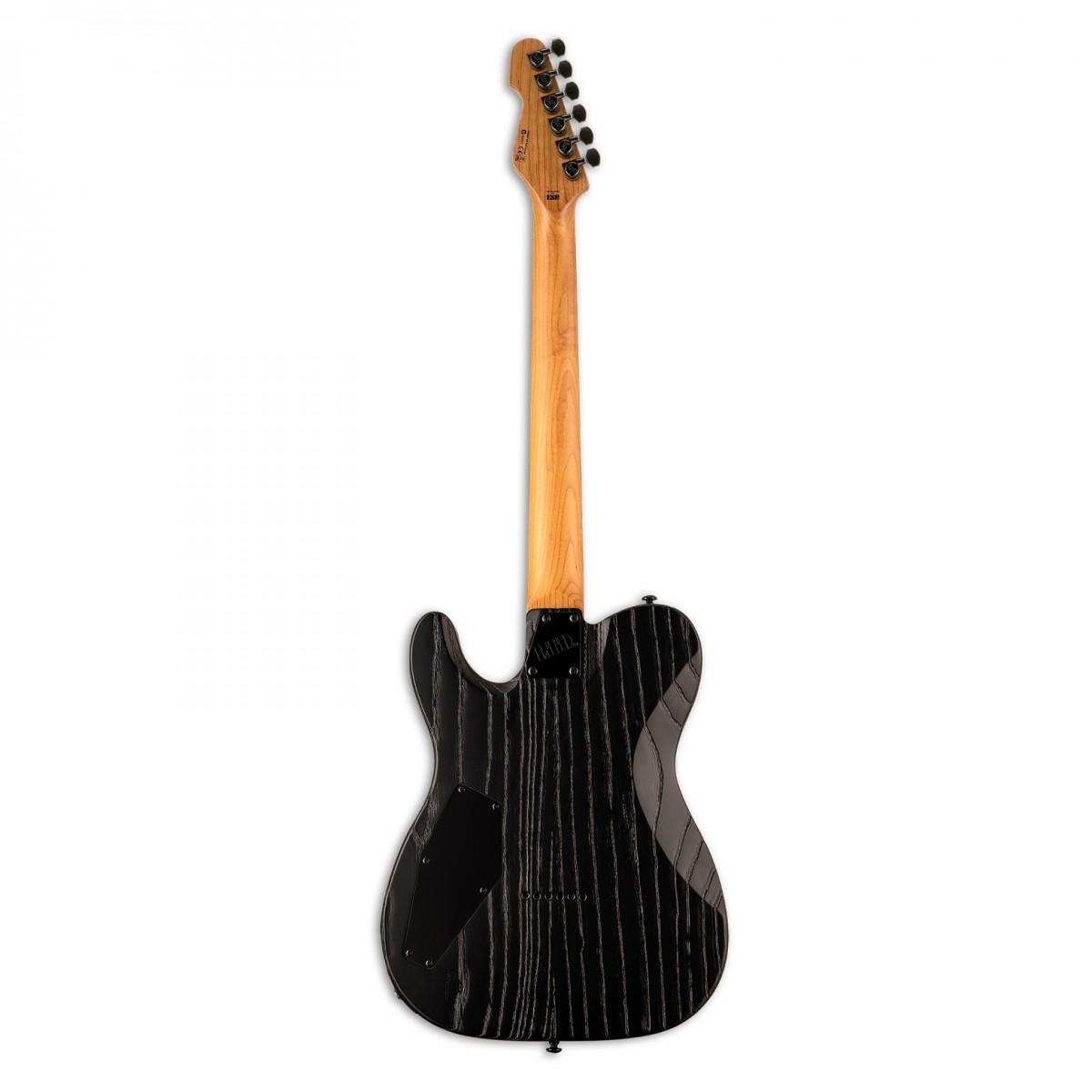 ESP LTD TE-1000 Black Blast