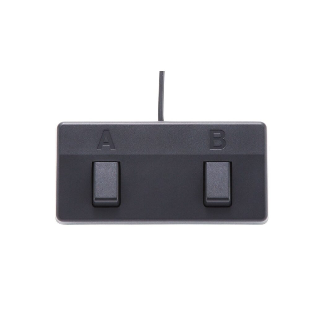 Boss Acoustic Singer Live Amplifier