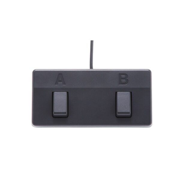 Boss Acoustic Singer Live Amplifier