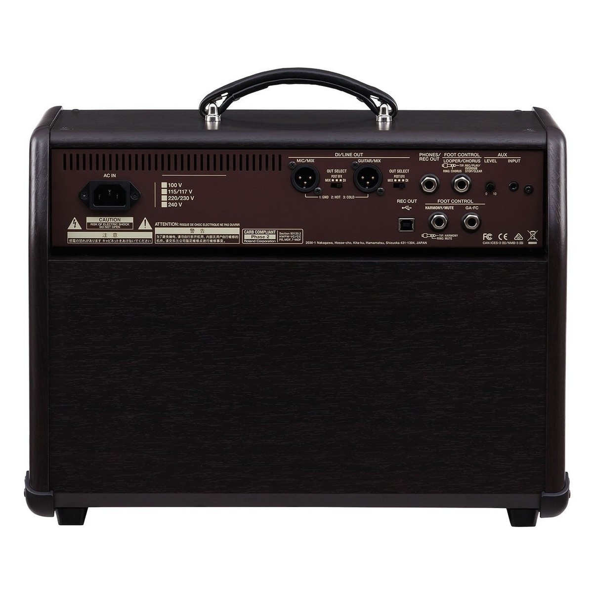 Boss Acoustic Singer Pro Amplifier with Cover and Foot Controller