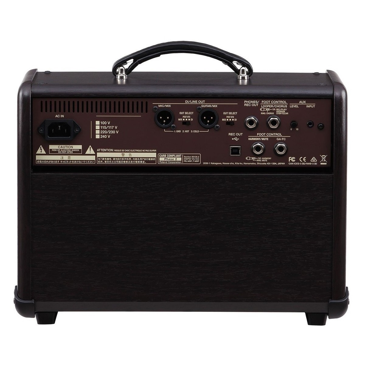 Boss Acoustic Singer Live Amplifier with Cover and Foot Controller