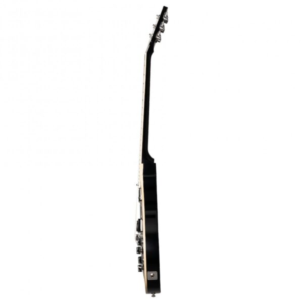 Gibson Adam Jones Les Paul Standard Antique Silverburst