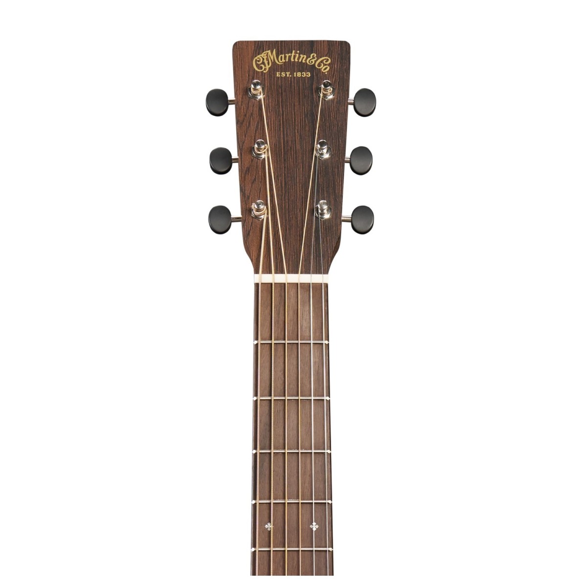 Martin D-10E Retro Sapele
