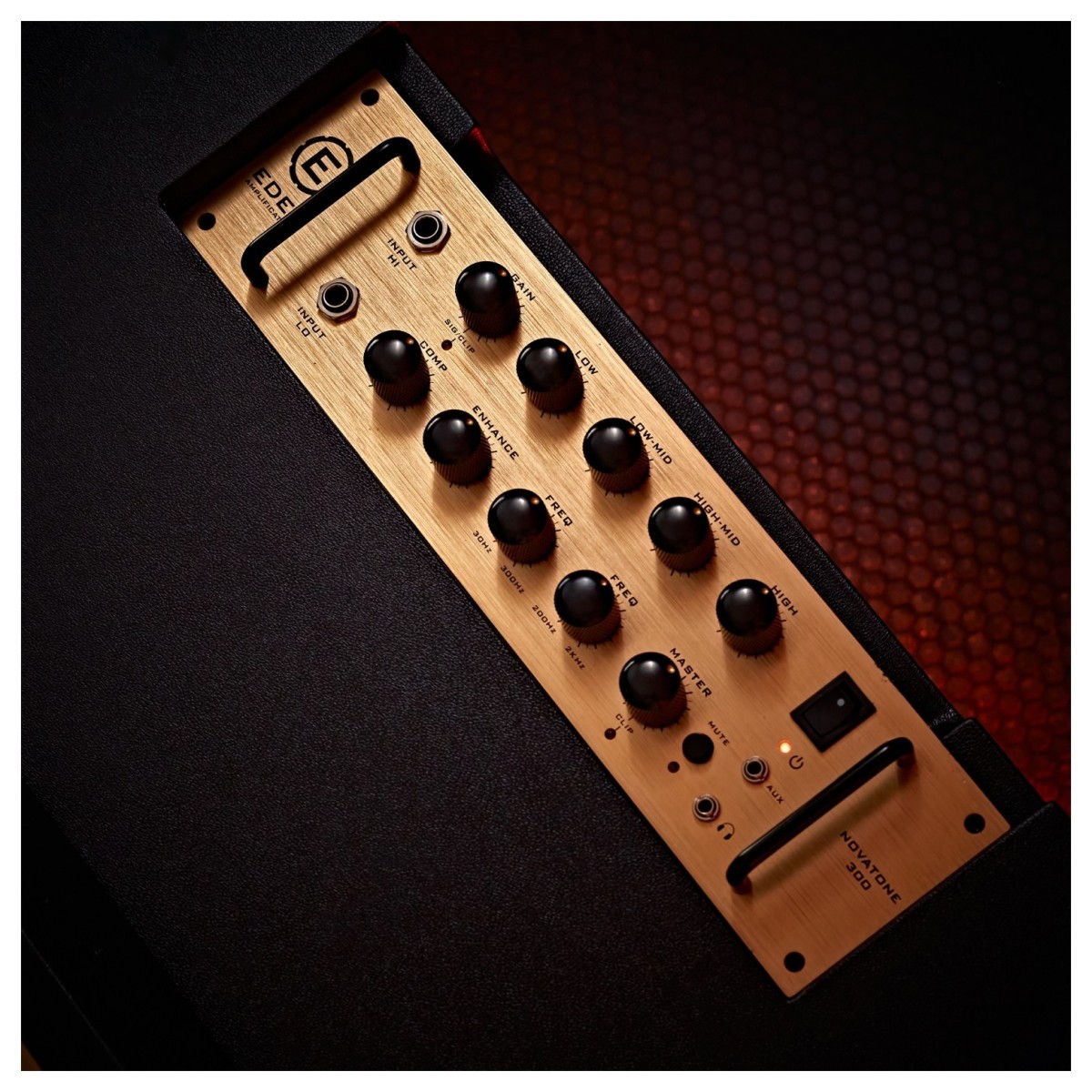 Eden NovaTone 300 Bass Amplifier Head with Footswitch