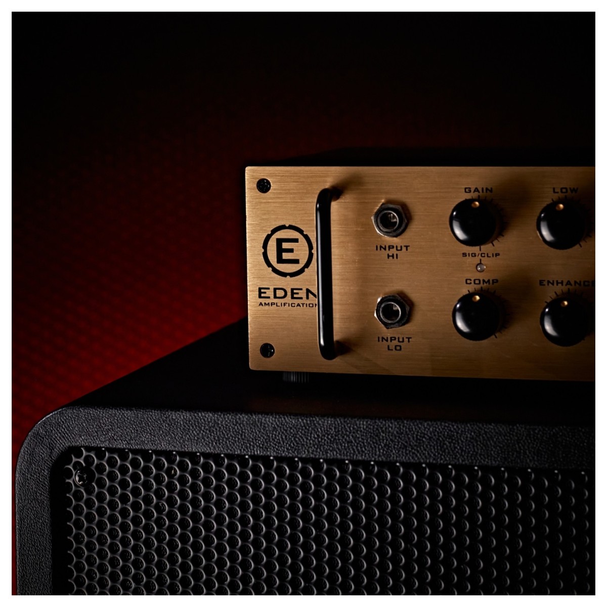 Eden NovaTone 300 Bass Amplifier Head with Footswitch