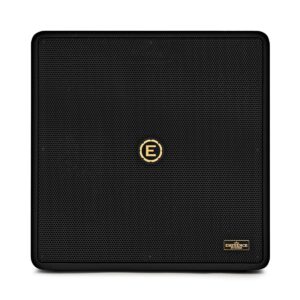 Eden NovaTone 210 Bass Cabinet