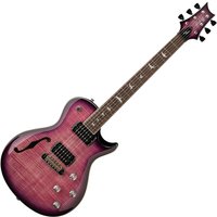 PRS SE Zach Myers 594 Elderberry Burst (2026)