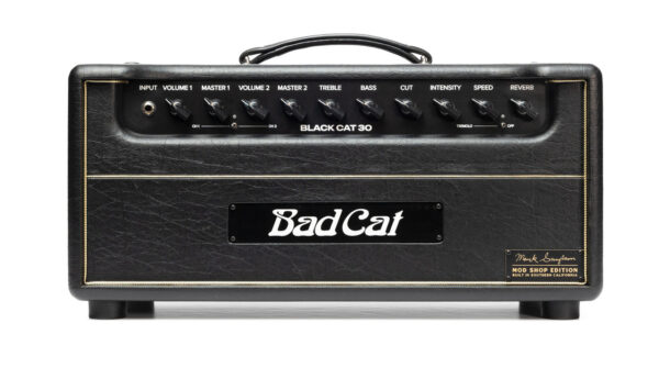 B Stock : Bad Cat Mod Shop Black Cat 30 Valve Amp Head - 012 - Image 1