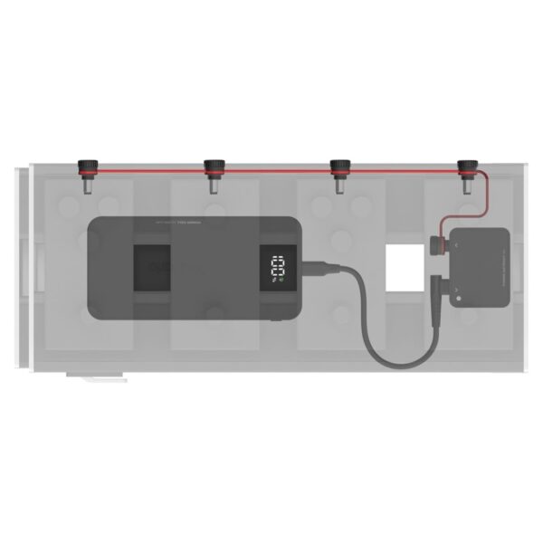 Daddario Xpnd Pedal Power Battery Kit With International Plugs - Image 4