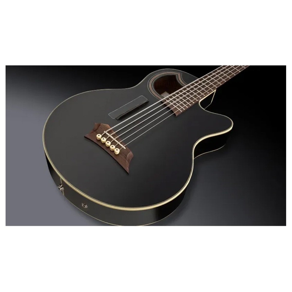 Warwick RockBass Alien Deluxe Hybrid Thinline 5 String Acoustic Bass Solid Black - Image 2