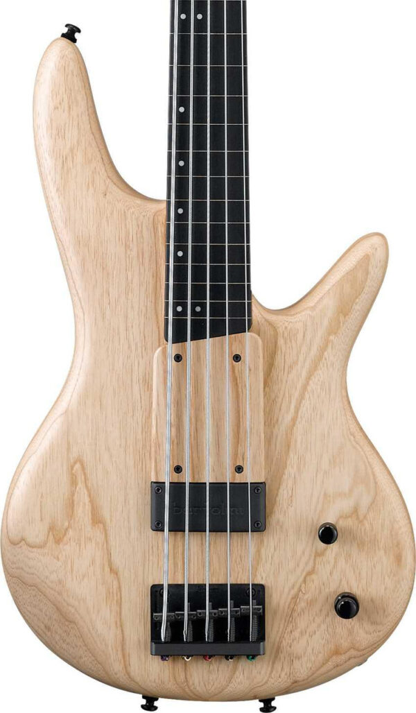 Ibanez GWB1005 Gary Willis 5-String Fretless Bass Guitar Natural Flat - Image 1