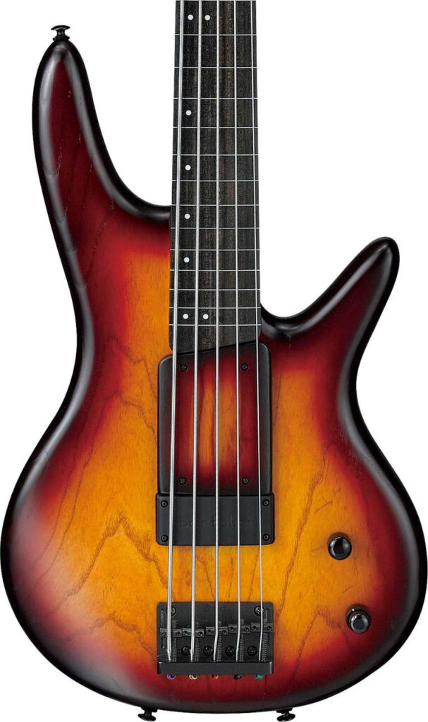 Ibanez GWB205-TQF Gary Willis Signature Fretless 5-String Bass Guitar in Tequila Sunrise Flat