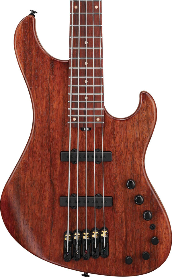 Ibanez Visions IV2MDM Mode Series 5-String Bass Guitar in Natural - Image 1