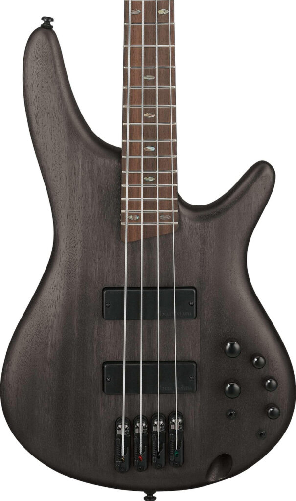 Ibanez SR505A-TGF SR-Series 5-String Bass Guitar in Transparent Gray Flat