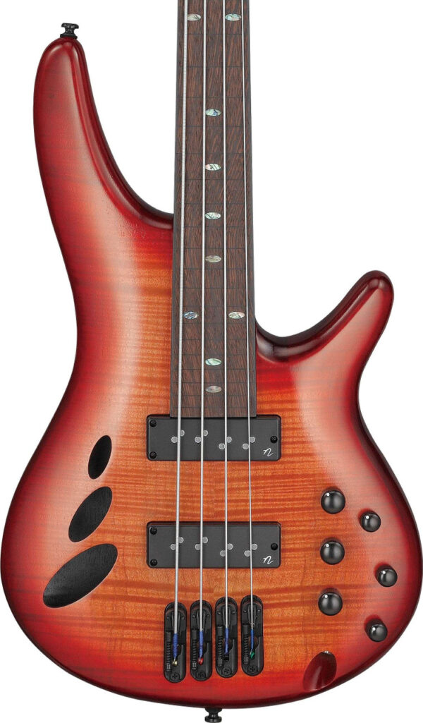 Ibanez SRD900F-BTL SR-Series Fretless Bass Guitar in Brown Topaz Burst Low Gloss - Image 1