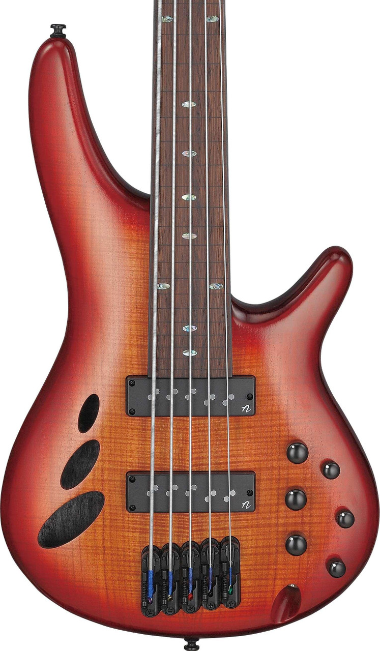Ibanez SRD905F-BTL SR-Series 5-String Fretless Bass Guitar in Brown Topaz Burst Low Gloss - Image 1