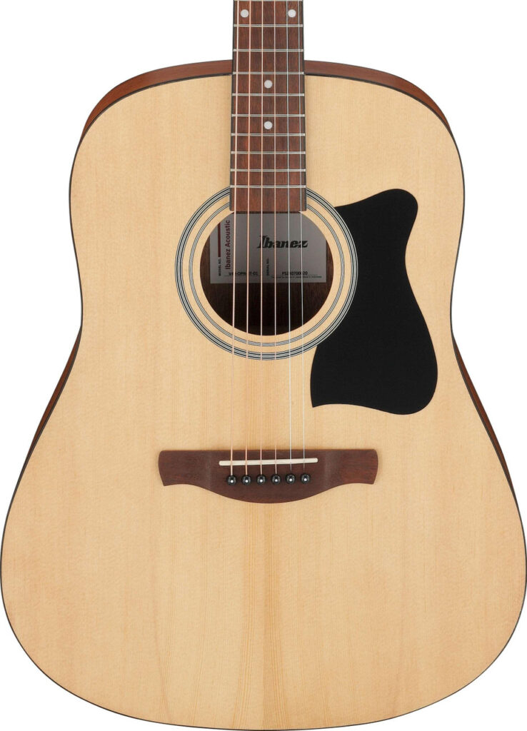 Ibanez V40-OPN V Series Acoustic Guitar in Open Pore Natural